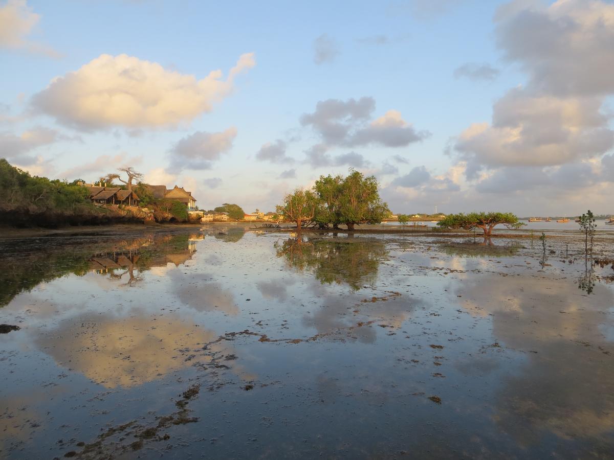 Wasini Island Bandas Dış mekan fotoğraf